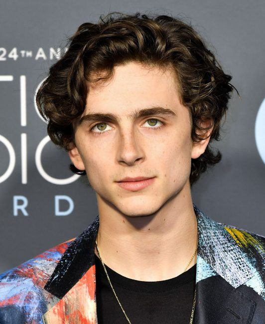 Does Timothee Chalamet Have Curly Hair - Timothée Chalamet: How He Learned to Stop Worrying and Love His King Haircut